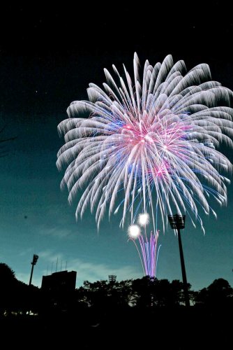 分散型で開催する佐倉市民花火大会（写真は昨年の６０回大会、市提供）
