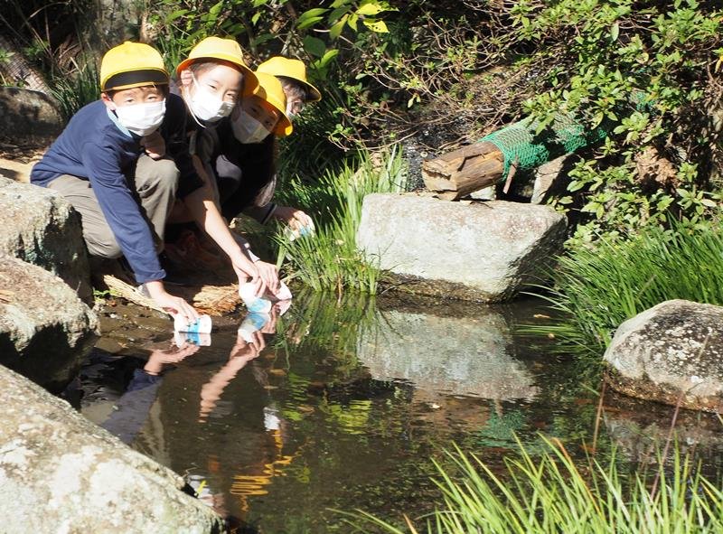 ホタルの幼虫を放流する外箕輪小の子どもたち＝２日、君津市
