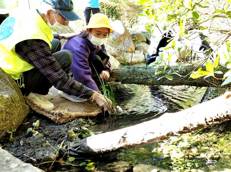 「大きくなってね」　君津・外箕輪小児童　ホタルの幼虫５００匹放流