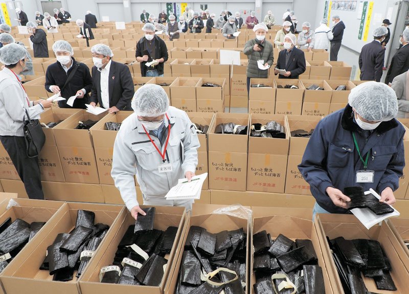 入札前の見付けで、新ノリの色つや、香りをチェックする業者ら＝２６日、富津市
