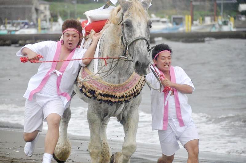 吾妻神社祭礼の「馬だし」。若者たちが浜辺で馬を駆けさせる（小林秀夫さん提供）