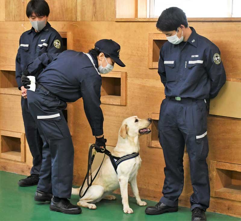 麻薬探知犬６００頭目を認定　成田・税関訓練センター　人懐っこい「イーシャ号」