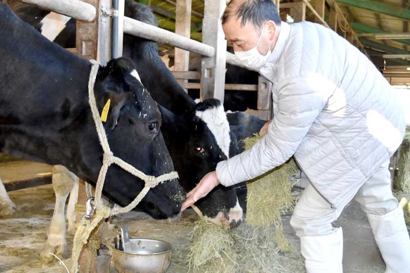 もったいない精神で誕生　安房の酪農家初乳活用　チッコカタメターノ　【房総の郷土料理　千葉県誕生１５０年】（６）