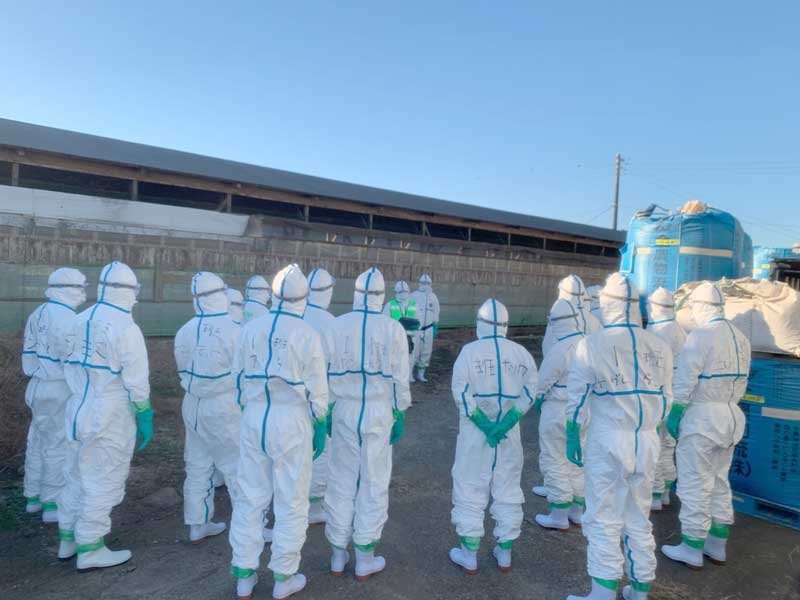 鳥インフルエンザが発生した旭市の養鶏場で殺処分に臨む県職員ら＝３日午前８時５分ごろ（千葉県提供）