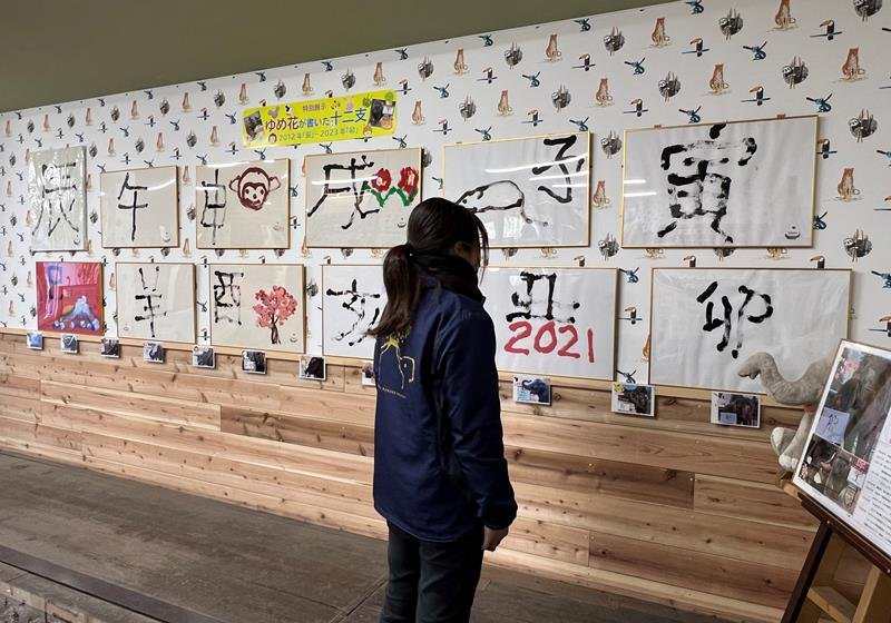 「ゆめ花」が書いた十二支の漢字＝市原市の「市原ぞうの国」
