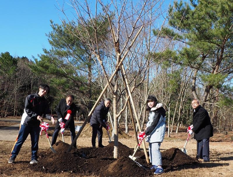 鎌足桜を植樹する渡辺市長（中央）や児童・生徒ら＝２８日、木更津市
