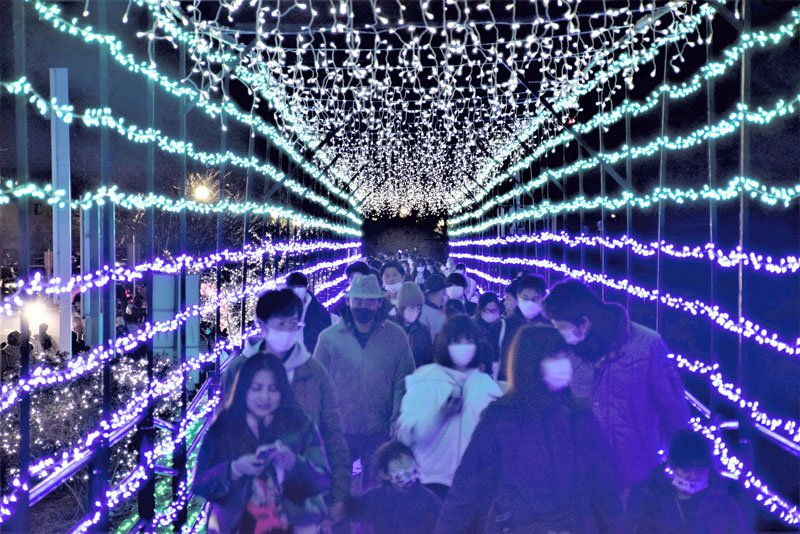 きらびやか“天の川“　茂原で「冬の七夕まつり」イルミネーション　３年ぶり、アーチ型も登場