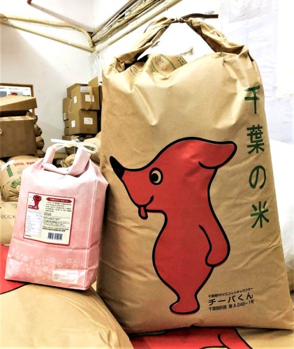 粒すけ、香港で継続輸出へ　千葉市産１・５トン完売　チーバくん活用、ＰＲも