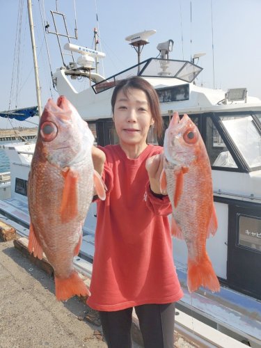 太東　メヌケ絶好調　勝浦　白浜　ヤリイカ好乗り　【今週の釣果】