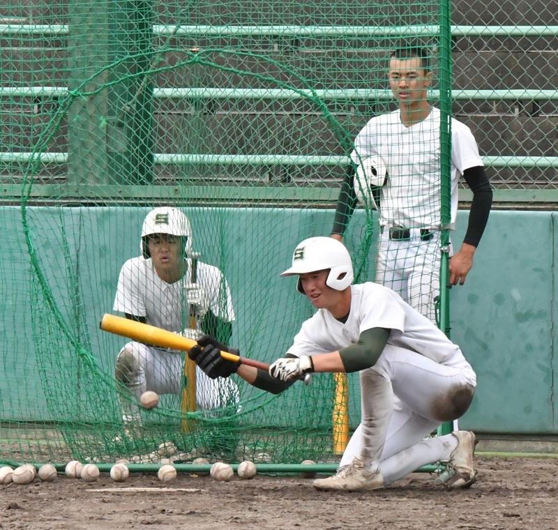 犠打の練習をする中山（手前）ら専大松戸の選手たち＝兵庫県伊丹市
