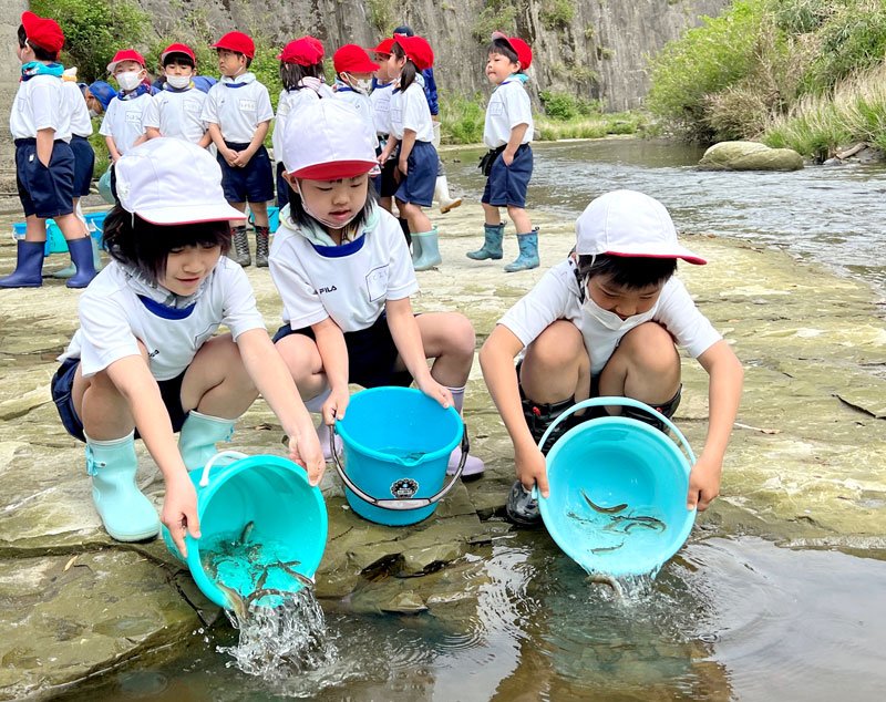 アユの稚魚を養老川に放流する加茂小の児童＝市原市