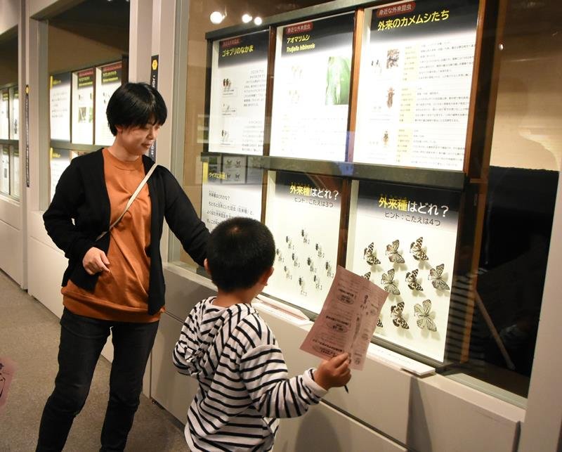 千葉県立中央博物館で開催中のトピックス展「千葉の外来昆虫最前線！」
