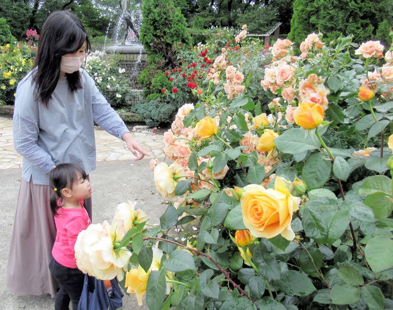 里見公園でバラの観賞を楽しむ親子連れ＝市川市