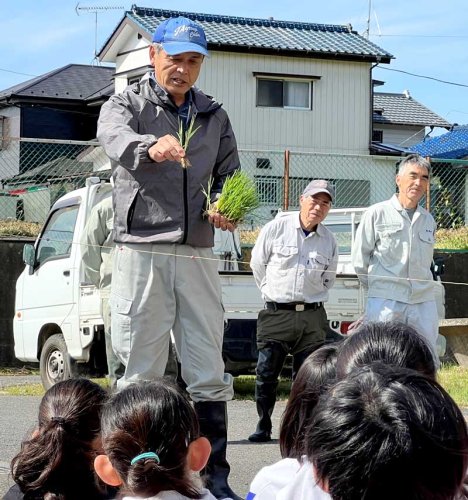 冷たい泥の感触に歓声　市原　牛久小児童が田植え体験