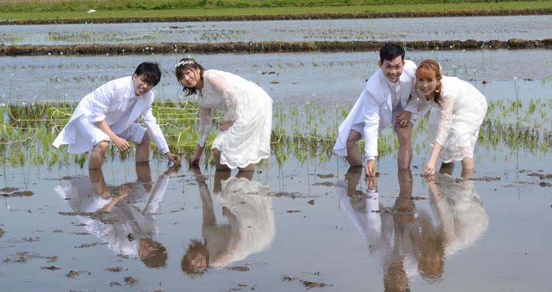 「田んぼで結婚式」で、稲の苗を植える２組のカップル＝２７日、山武市
