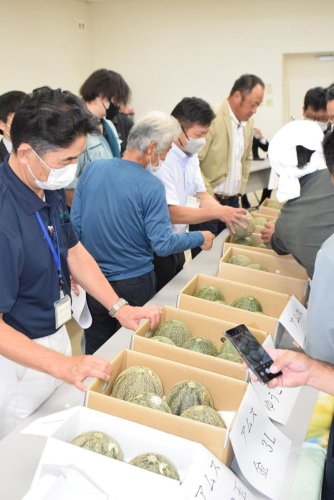 出荷規格で分けて並べられたメロン＝銚子市
