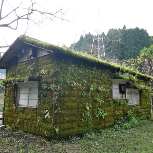 アート守り１０年　本に　「森ラジオ」管理ボランティア　市原・月崎