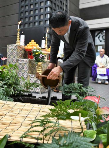 感謝を込めてウナギを放生池に放す川豊の伊藤さん＝１４日、成田市