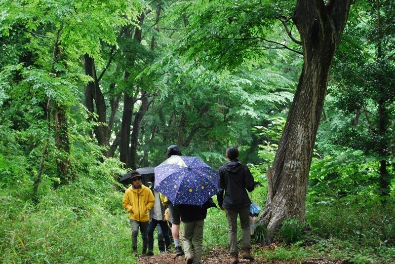 川戸の森