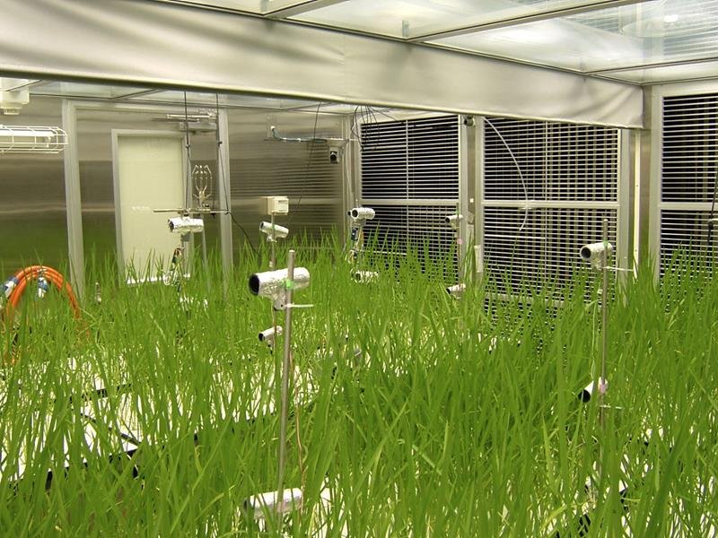 千葉大　宇宙園芸拠点に　月面での作物栽培研究　地上の農業に応用期待