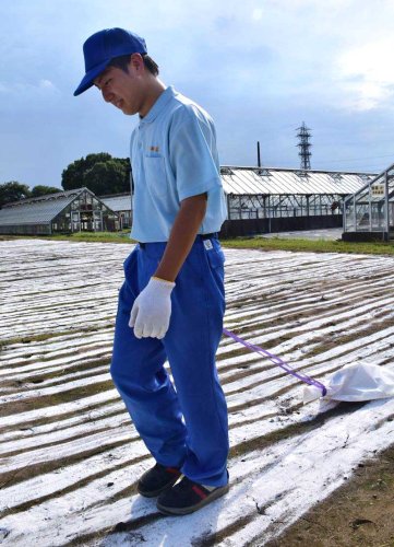 高校の農場、育てた野菜廃棄に…　大雨で腰の高さまで浸水　台風１３号被災の茂原樟陽高　生徒「すごく悲しい」　実習断念、生徒は畑浄化作業