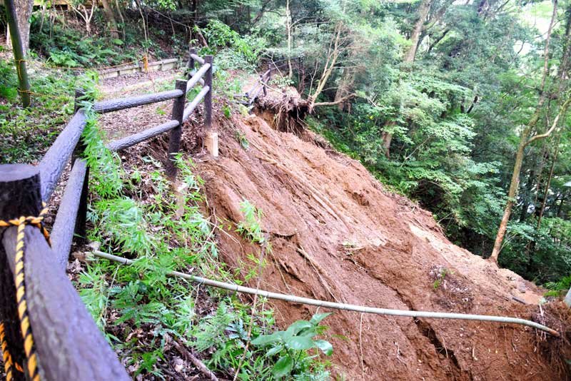 妙楽寺の森で起きた土砂崩れの現場。うっそうとしていた樹木が倒れた＝１６日午後、睦沢町