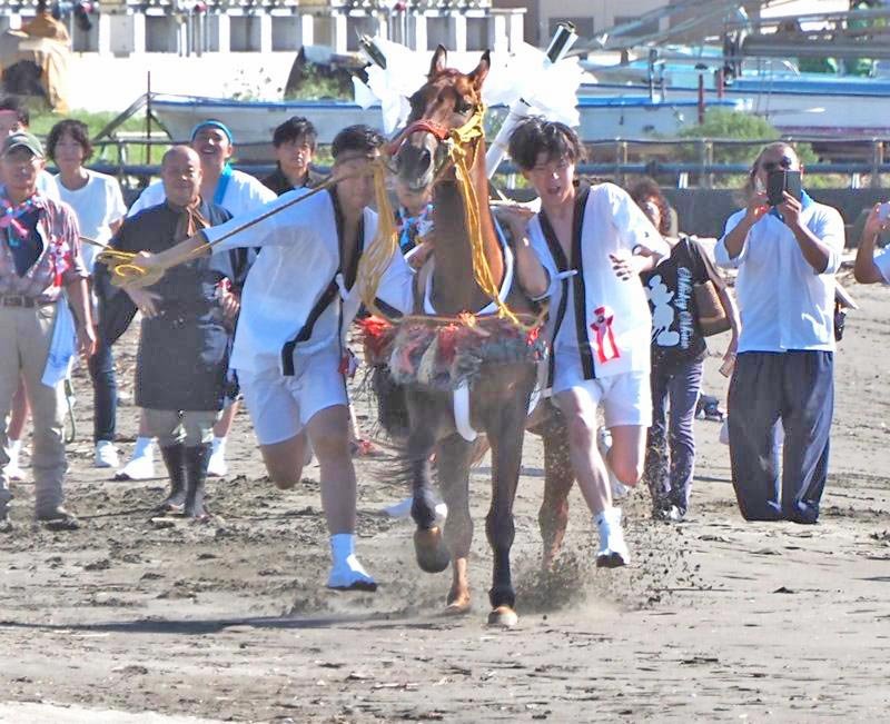 神馬、副神馬が砂浜を相次いで疾走し、大勢の観客が見守った＝１７日、富津市