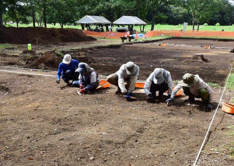 加曽利貝塚の北貝塚で５７年ぶりに本格的に行われている発掘調査＝千葉市若葉区
