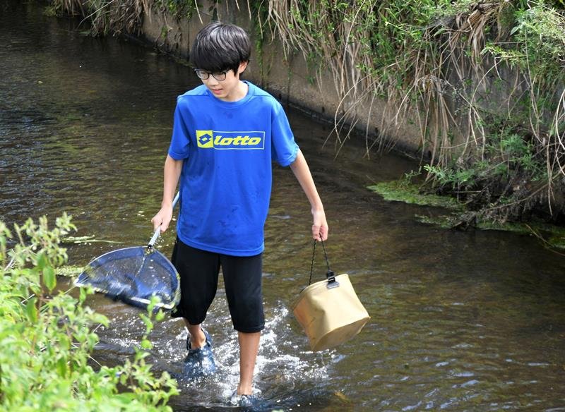 たも網を持って高谷川に生息する魚などの生き物を探す萩原さん＝８月下旬、芝山町
