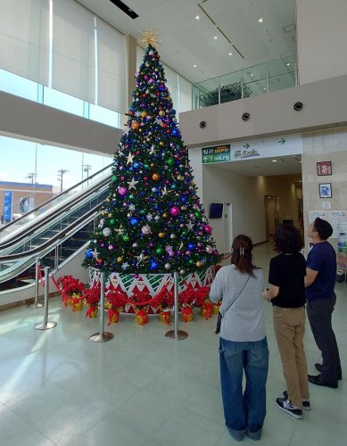 夢ホールに登場したクリスマスツリー＝市原市
