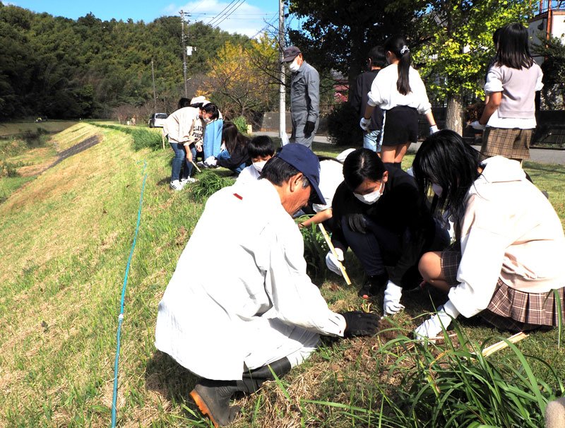 宮下川沿いにニッコウキスゲを植栽する周南小児童と地域住民＝君津市