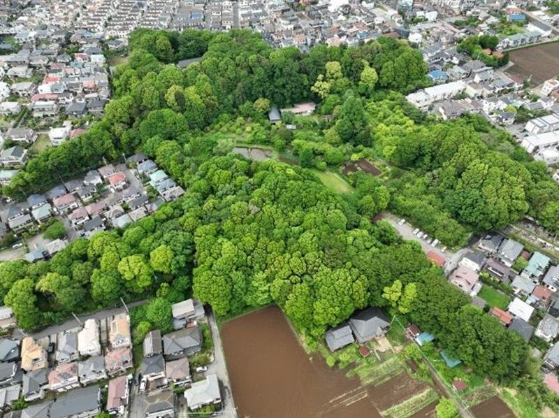 「下田の杜」環境省認定　柏市街地の約５．４ヘクタール　自然共生サイトに　半世紀、住民らが保全
