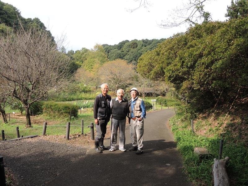 貴重な自然が残されている柏市の「下田の杜」。保全活動を進めてきた地権者の斎藤吉弘さん（中央）と、「下田の杜里山フォーラム」の北田芳則理事長（右）、吉田進副理事長＝５日
