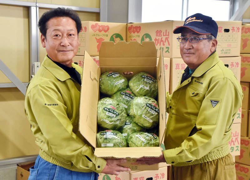 出荷が始まった「かんべレタス」の箱を掲げる片岡副組合長（右）と出口晃司副組合長＝１９日、館山市
