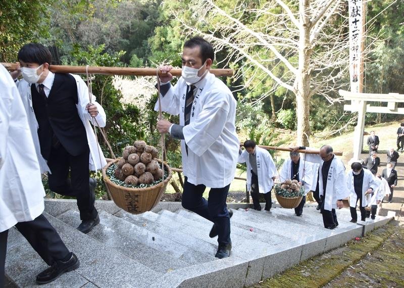 神社まで里芋を担いで歩く氏子ら＝２０日、館山市
