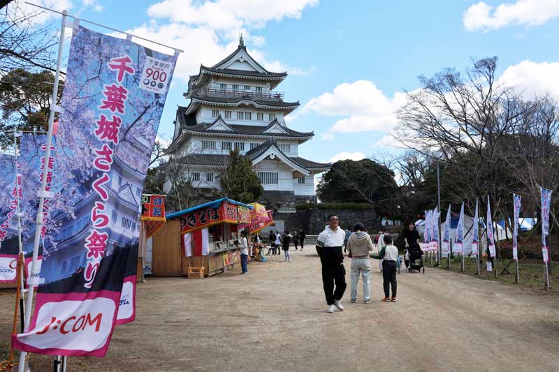 千葉城さくら祭りではまだ桜が開花していなかった＝２７日午後、千葉市中央区の市亥鼻公園