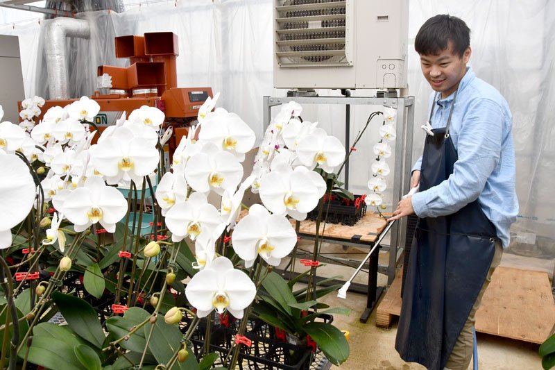 水やり作業をする黒木貫智さん＝我孫子市