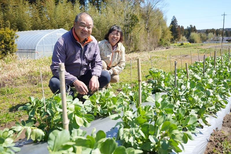 自然由来の肥料で野菜を育てる宮川さん夫婦＝いすみ市
