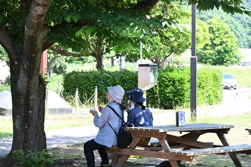 八千代市でも気温が上昇。木陰でソフトクリームを食べて涼む人の姿も＝１４日午後１時５５分ごろ、同市の道の駅やちよ