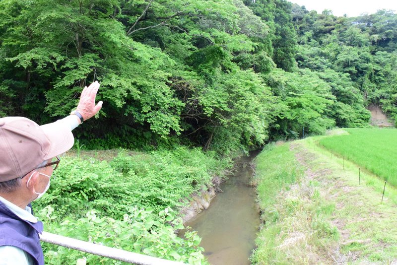 ５年ぶりホタル観賞会　コロナ、大雨越え準備着々　人気イベント、長南で７～９日