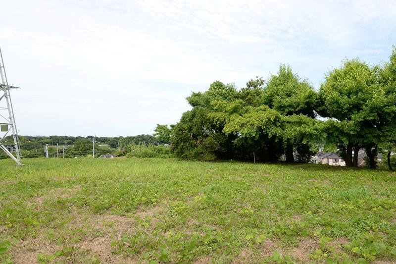 国の史跡に指定されている「月ノ木貝塚」。今回は北部の斜面（写真の樹木の奥）を追加指定＝２２日、千葉市中央区
