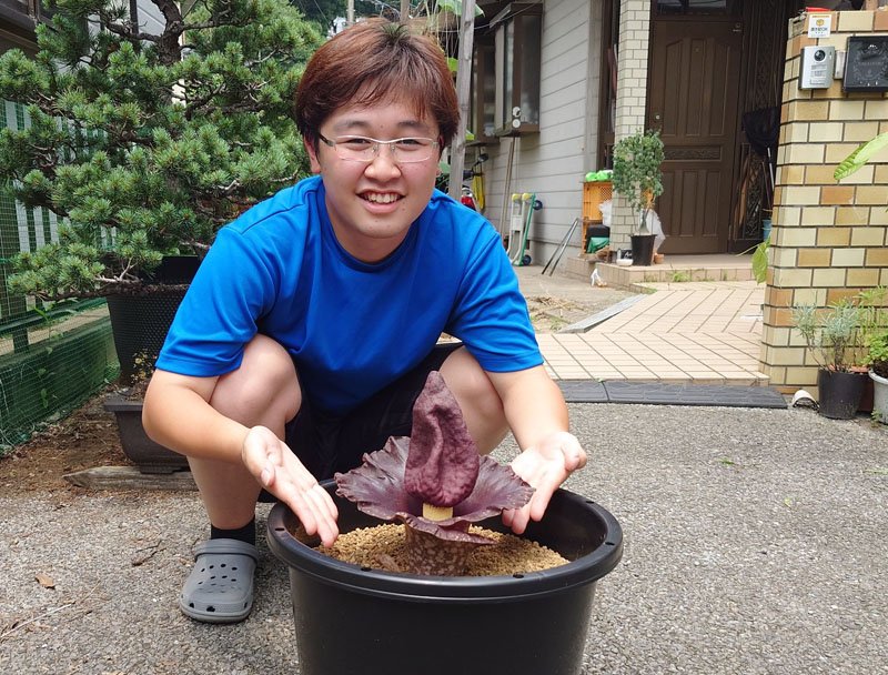 開花したゾウコンニャクを紹介する長島さん＝２６日、市原市安須