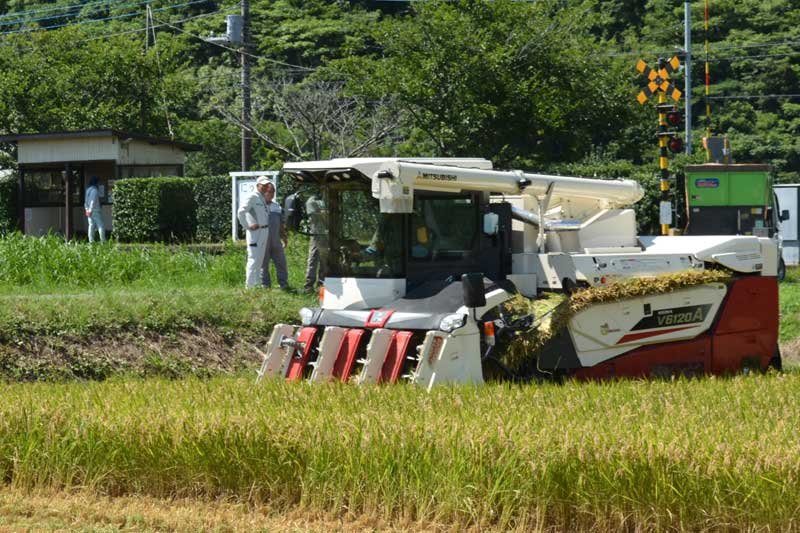 超早場米、早くも稲刈り　有数の米どころ、いすみで