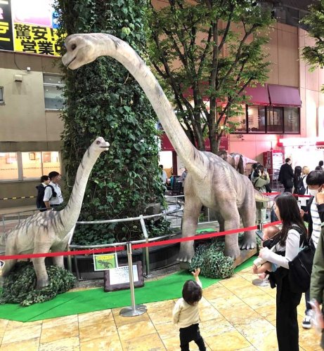 柏二番街商店会が単独で実施し大勢の来場者でにぎわった昨年の「ダイナソータウン」＝昨年１１月、柏市