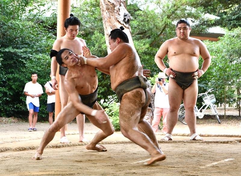 土俵で激しくぶつかり合う出羽海部屋の力士＝１０日、東庄町

