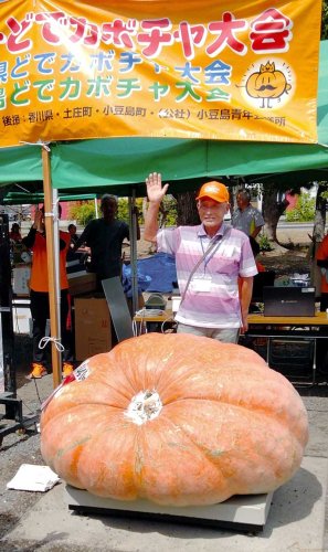 「日本一どでカボチャ大会」で優勝した鈴木貞一さん＝１５日、香川県・小豆島（土庄町観光課提供）（共同）
