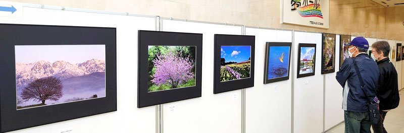 力作が並ぶ「市原市写真連盟展」＝市原市の夢ホール