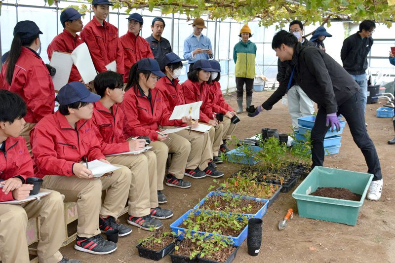 枝ものの定植を学ぶ大原高校の生徒ら＝いすみ市