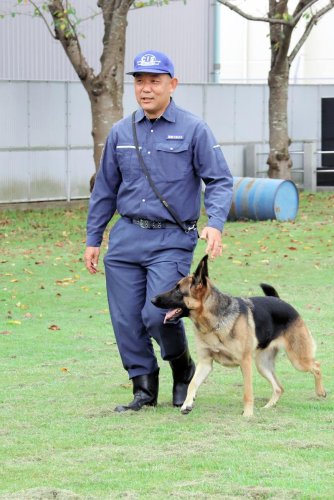 「代わり利かない相棒」　嗅覚で貢献　直轄導入６０年　警察犬と訓練士　【千葉県警察創立１５０年】（３）