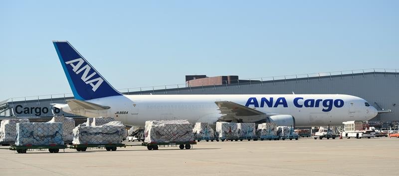 ２０２４年の輸出額が過去最高となった成田空港の貨物ビル前に駐機される貨物専用機＝同年８月、成田市
